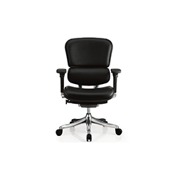 Erghuman plus office chair CG--1002-7