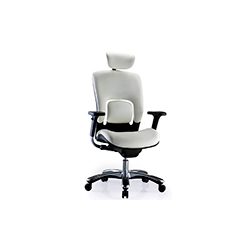 Apor-X office chair CG--1004-1